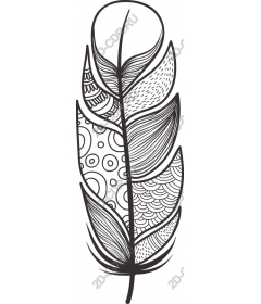  Elegant feather