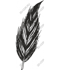  Feather