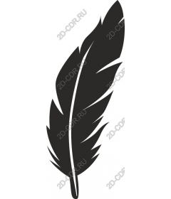  Black feather