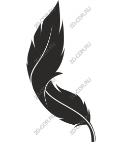  Elegant feather