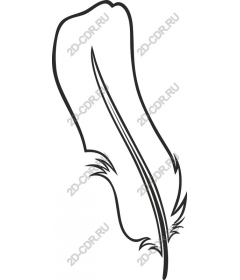  Elegant feather