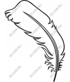  Stylized feather