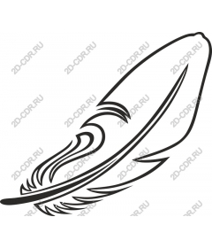  Elegant feather