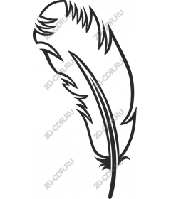  Elegant feather