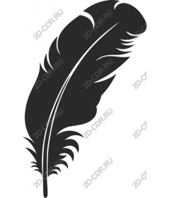  Elegant black feather