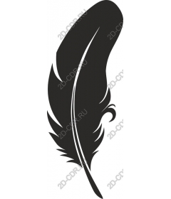  Elegant black feather