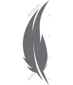  Elegant feather