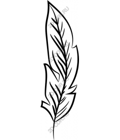  Elegant sheet
