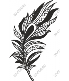  Stylized feather