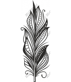  Elegant feather