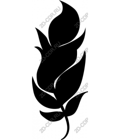  Elegant picture of black sheet