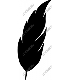  Black feather