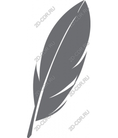  Elegant feather