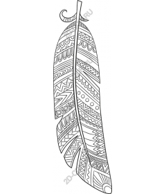 Intricate decorative feather
