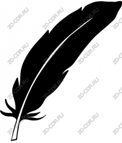  Elegant black feather