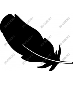  Black feather