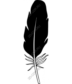  Black feather