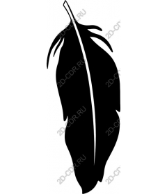 Black feather