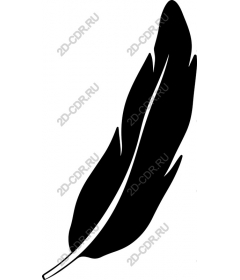  Elegant black feather
