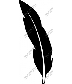  Elegant feather