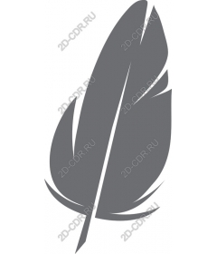 Stylized feather