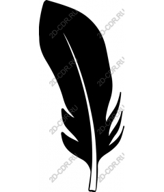  Black feather