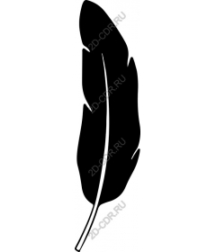  Elegant black feather