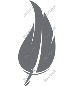  Elegant feather