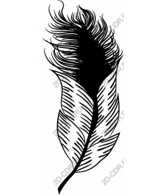  Stylized feather