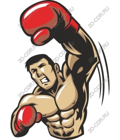 Dynamic Boxer