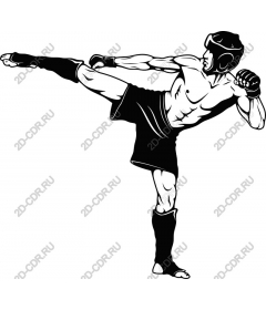 Dynamic martial arts High Kick