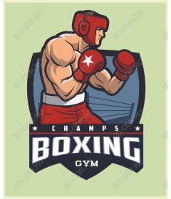 Boxing gym "Champions"