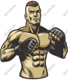  Brawny fighter