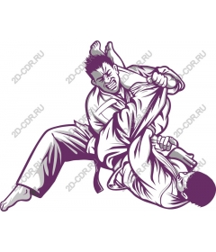 Dynamic combat JIU-jitsu