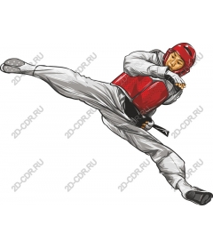 Dynamic kick in Taekwondo