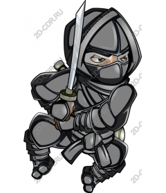 Ninja Warrior