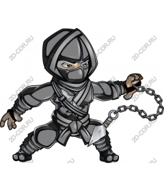 Dynamic ninja warrior