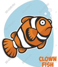  Clown fish