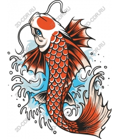  Bright koi fish