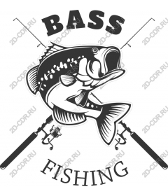 Perch fishing