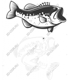  Bouncing fish-bass
