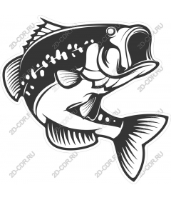 Dynamic bass