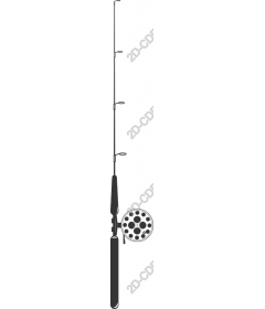  The rod and reel