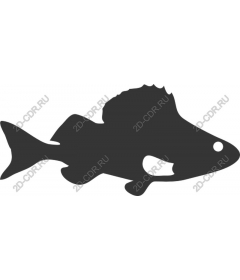  Stylized fish