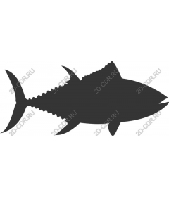 Tuna