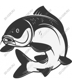 Dynamic fish