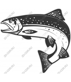  Trout Fish