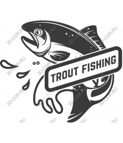 Trout fishing