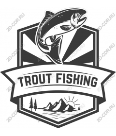  Trout fishing