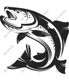 Trout Fish and